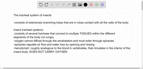 the-tracheal-system-of-insects-a-consists-of-several-tracheae-that-connect-to-multiple-lungs-within-