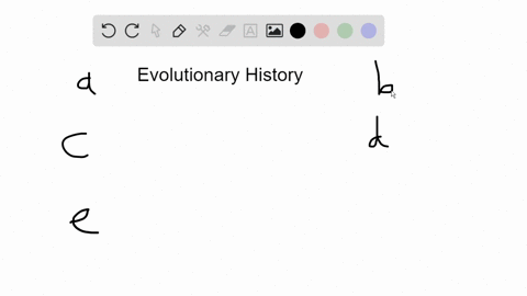 when-systematists-study-morphological-or-behavioral-traits-to-reconstruct-the-evolutionary-history-2