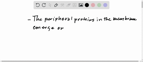 where-are-proteins-located-in-cell-membranes