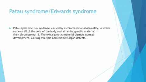 define-these-pairs-of-terms-and-distinguish-between-them-aneuploidyeuploidy-monosomytrisomy-patau--4