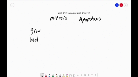 explain-how-cell-division-and-cell-death-work-together-to-form-a-functional-multicellular-organism
