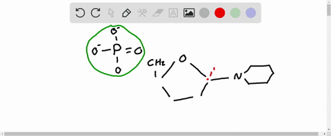 nucleic-acids-are-directional-meaning-that-there-are-two-different-ends-what-functional-groups-defin