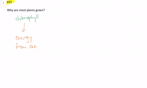 explain-why-plants-are-generally-green