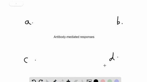 antibody-mediated-responses-most-effectively-target-_________-a-intracellular-pathogens-b-extracellu