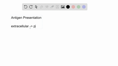 which-pathway-of-antigen-presentation-would-be-used-to-present-antigens-from-an-extracellular-bact-2