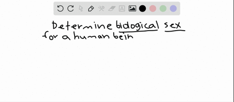 the-sex-of-a-human-is-determined-by-a-ploidy-the-male-being-haploid-b-the-y-chromosome-c-x-and-y-chr