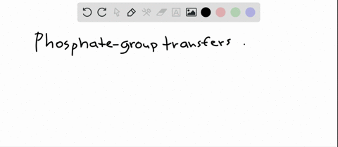 in-sarcomeres-phosphate-group-transfers-from-atp-activate-___________-a-actin-b-myosin-c-both-d-neit
