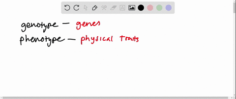 an-organisms-_____-isare-determined-by-its-_____-a-genotype-phenotype-b-phenotype-genotype-c-alleles