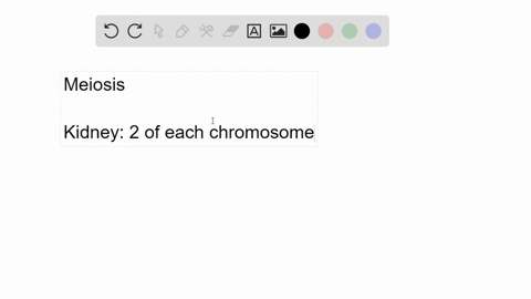 if-you-followed-a-womans-cells-through-meiosis-at-what-stage-of-meiosis-would-the-amount-of-dna-in-o