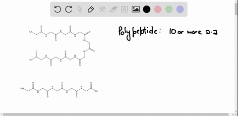 describe-the-structural-way-in-which-two-isomeric-polypeptides-would-be-different-2