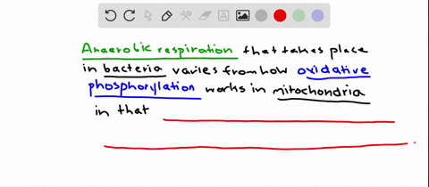 compared-with-oxidative-phosphorylation-in-mitochondria-anaerobic-respiration-in-bacteria-differs-in