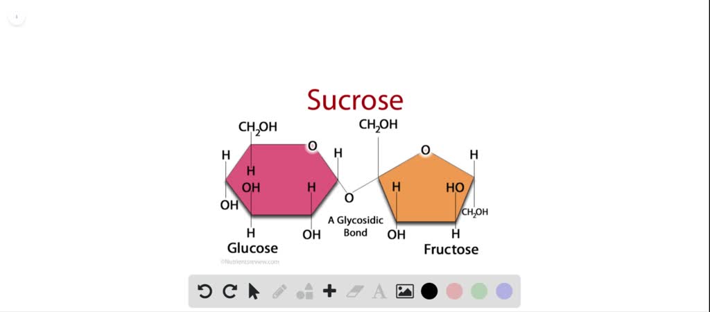 Five-membered ring structures of fructose are given below . Mark the  incorrect statement . - Sarthaks eConnect | Largest Online Education  Community