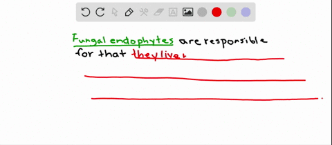what-role-do-fungal-endophytes-play-in-nature-a-they-are-decomposers-b-they-are-human-pathogens-th-2