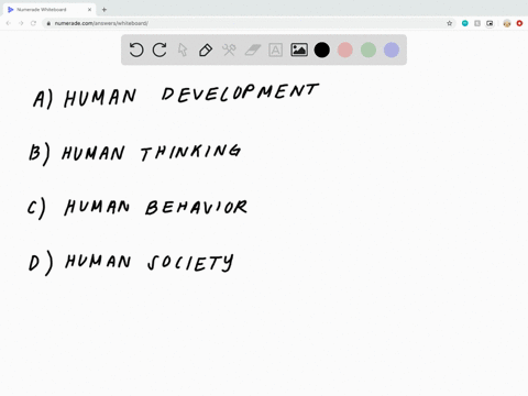 developmental psychologists study physical cognitive and