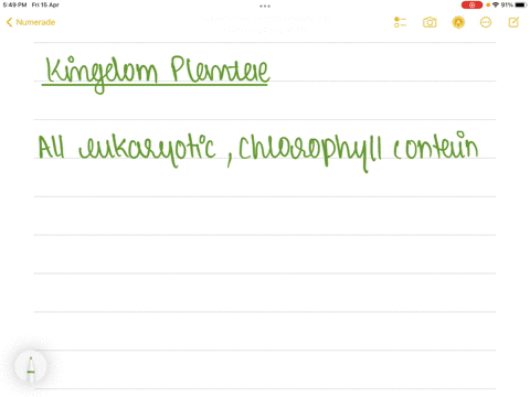 chlorophyll-bearing-eukaryotes-come-under-the-kingdom-________