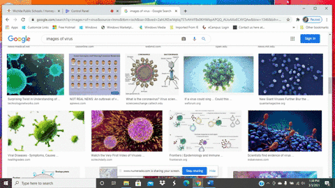 viruses-are-considered-to-be-the-link-between-living-and-nonliving-organisms-keeping-in-mind-that-vi