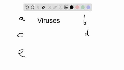 viruses-a-have-a-protein-core-b-have-a-nucleic-acid-coat-c-that-infect-and-kill-bacteria-during-a--2
