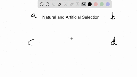 how-is-the-process-of-natural-selection-different-from-that-of-artificial-selection-a-natural-select