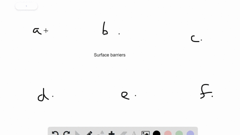 which-of-the-following-is-not-a-surface-barrier-to-infection-a-diarrhea-b-acidic-gastric-fluid-c-lys