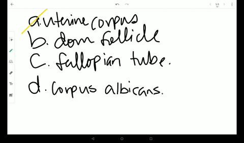 from-what-structure-does-the-corpus-luteum-originate-a-uterine-corpus-b-dominant-follicle-c-fallopia