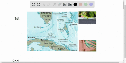 an-evolutionary-biologist-is-studying-several-species-of-closely-related-lizards-found-on-cuba-and-s