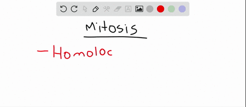 which-statement-about-mitosis-is-not-true-a-a-single-nucleus-gives-rise-to-two-identical-daughter--2