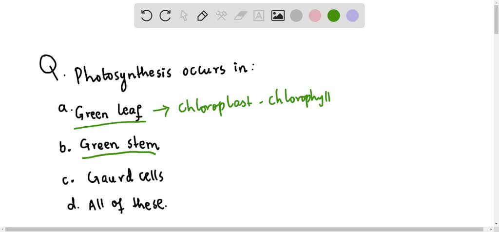 SOLVED:A plant may have green, white, or green-and-white (variegated ...