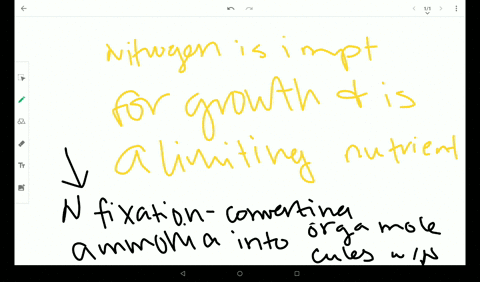 describe-nitrogen-fixation-and-why-it-is-important-to-agriculture
