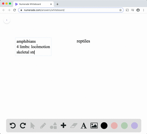 compare-the-adaptations-of-amphibians-and-reptiles-for-terrestrial-life-2