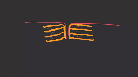 impulses-that-move-down-the-t-system-of-a-muscle-fiber-most-directly-cause-a-movement-of-tropomyosin