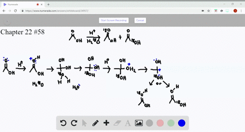 when-acetic-acid-ch_3cooh-is-treated-with-a-trace-of-acid-in-water-labeled-with-18o-the-label-gradua