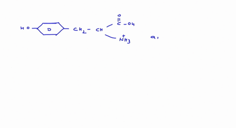 which-of-the-following-represents-tyrosine