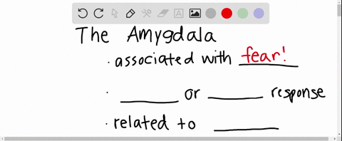 why-do-people-with-amygdala-damage-have-trouble-recognizing-expressions-of-fear-4