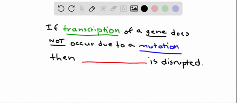 a-mutation-prevents-a-gene-from-being-transcribed-into-an-mrna-the-mutation-most-likely-disrupts-a-t