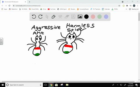 in-an-example-of-mimicry-a-harmless-jumping-spider-physically-resembles-an-aggressive-species-of-ant