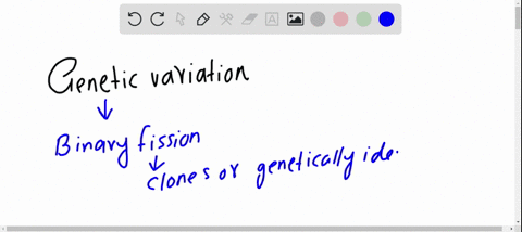 which-of-the-following-is-not-a-contributor-to-genetic-variation-a-binary-fission-b-crossing-over-of