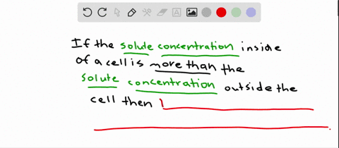 lets-suppose-the-solute-concentration-inside-the-cells-of-a-plant-is-03-m-and-outside-is-02-m-if-we-