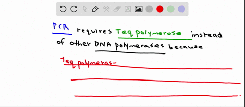 why-is-taq-polymerase-used-in-mathrmpcr-rather-than-other-dna-polymerases-a-taq-polymerase-is-a-synt
