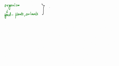 fill-in-the-blanks-in-each-question-organisms-that-feed-on-both-plant-and-animals-are-____