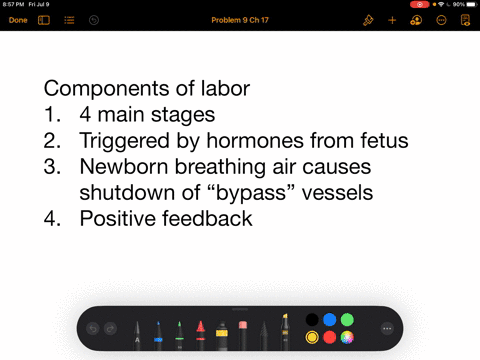 all-of-the-following-apply-to-the-birth-process-labor-except-__________-a-it-consists-of-four-main-s