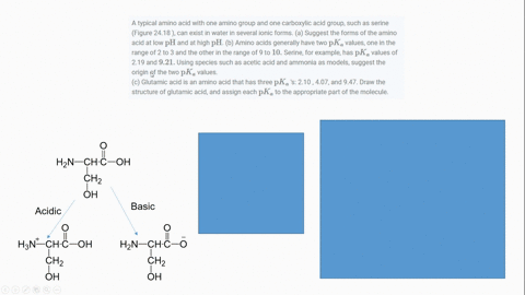 a-typical-amino-acid-with-one-amino-group-and-one-carboxylic-acid-group-such-as-serine-figure-2418-c