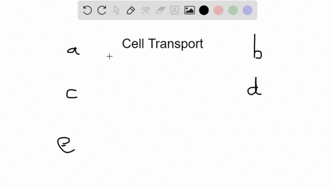 cells-transport-sodium-ions-out-of-the-cell-against-the-sodium-concentration-gradient-this-is-an-exa