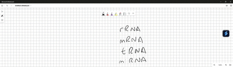 which-eukaryotic-rna-polymerase-rna-pol-i-pol-ii-or-pol-iii-transcribes-which-genes-a-trnas-b-mrnas-