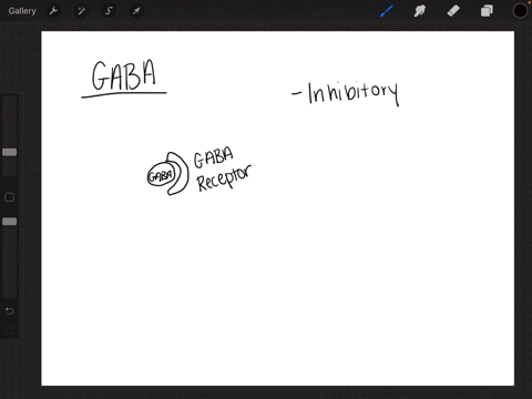 which-neurotransmitter-inhibits-cns-activity-in-order-to-calm-a-person-down-during-stressful-situati