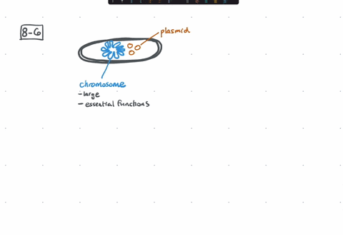 the-properties-that-all-plasmids-share-are-that-they-1-all-carry-genes-for-antimicrobial-resistance-