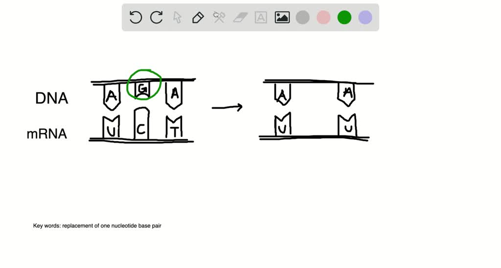 SOLVEDA mutation in a DNA molecule involving the replacement of one nucleotide base pair with