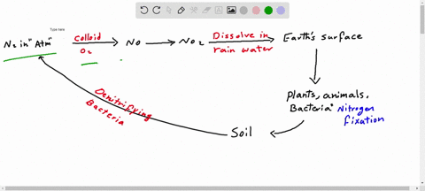 describe-the-nitrogen-cycle