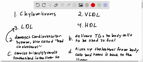 match-the-lipoprotein-1-to-4-with-its-description-a-to-d-156-1-chylomicrons-2-vldl-3-ldl-4-hdl-a-dam