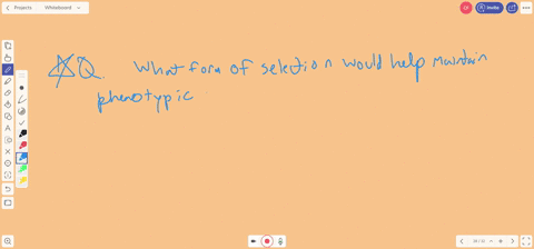 what-form-of-selection-would-help-maintain-phenotypic-stability-over-time-a-stabilizing-selection-b-