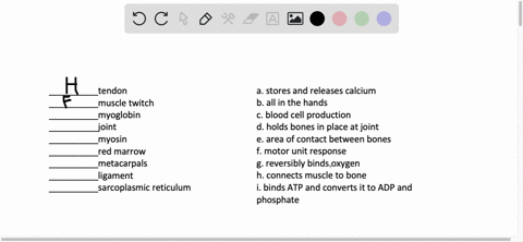 match-the-terms-with-their-definitions-__________tendon-__________muscle-twitch-__________myoglobin-